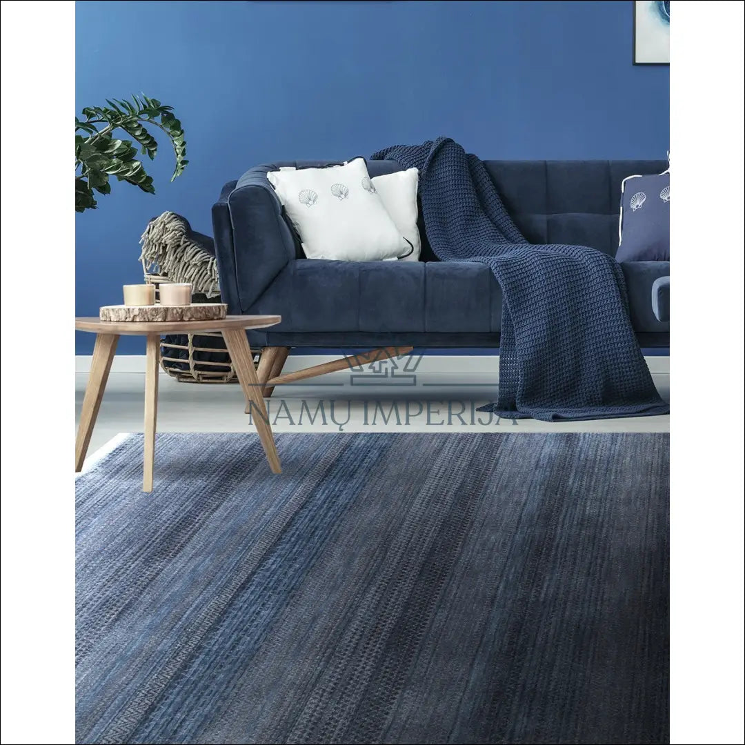 Kilimas RU660 - €113 Save 60% 100-200, __label:Pristatymas 1-2 d.d., color-melyna, kilimai, material-medvilne Kilimai