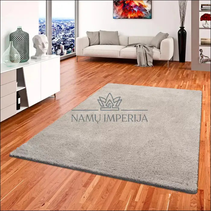 Kilimas RU661 - €52 Save 55% 50-100, __label:Pristatymas 1-2 d.d., color-pilka, kilimai, material-poliamidas Kilimai