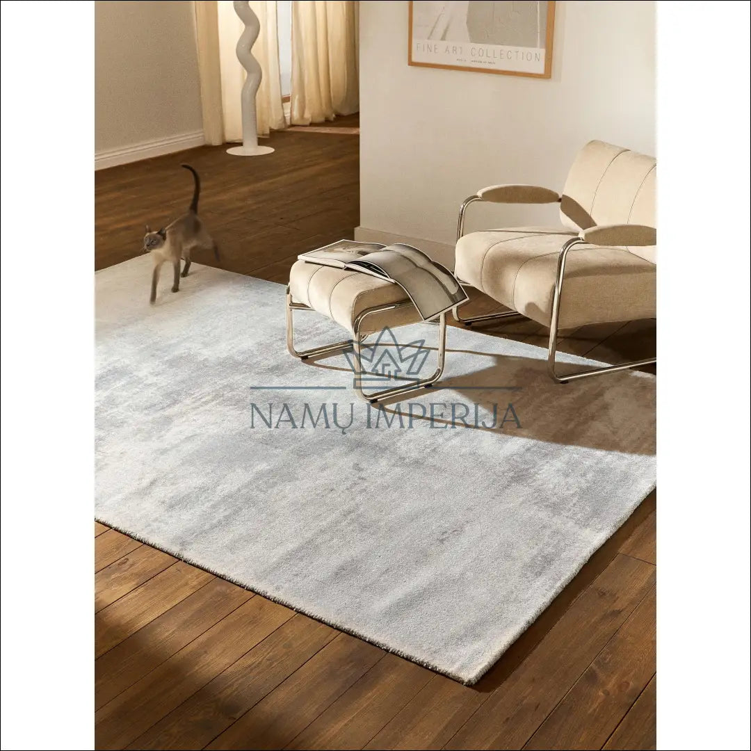 Kilimas RU862 - €43 Save 50% 25-50, __label:Pristatymas 1-2 d.d., color-pilka, kilimai, material-poliesteris 80 cm x
