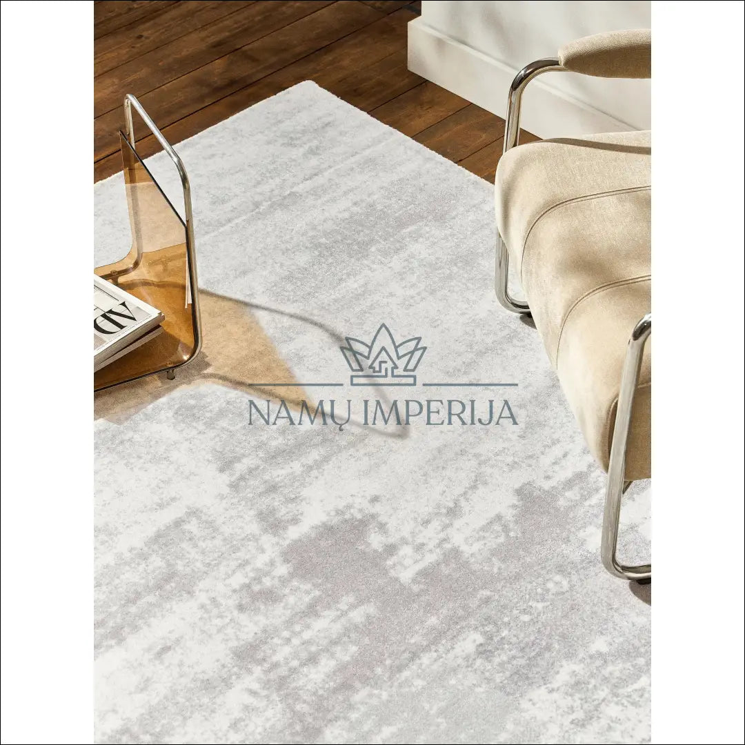 Kilimas RU862 - €43 Save 50% 25-50, __label:Pristatymas 1-2 d.d., color-pilka, kilimai, material-poliesteris 80 cm x