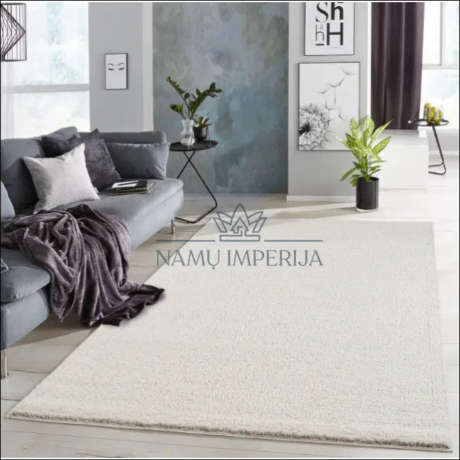 Kilimas RU899 - €20 Save 50% __label:Pristatymas 1-2 d.d., color-kremas, ilgaplaukiai, kilimai, material-poliesteris 60