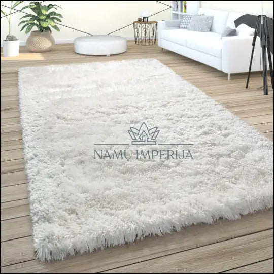 Kilimas RU903 - €35 Save 50% 25-50, __label:Pristatymas 1-2 d.d., color-kremas, ilgaplaukiai, kilimai 60 cm x 100