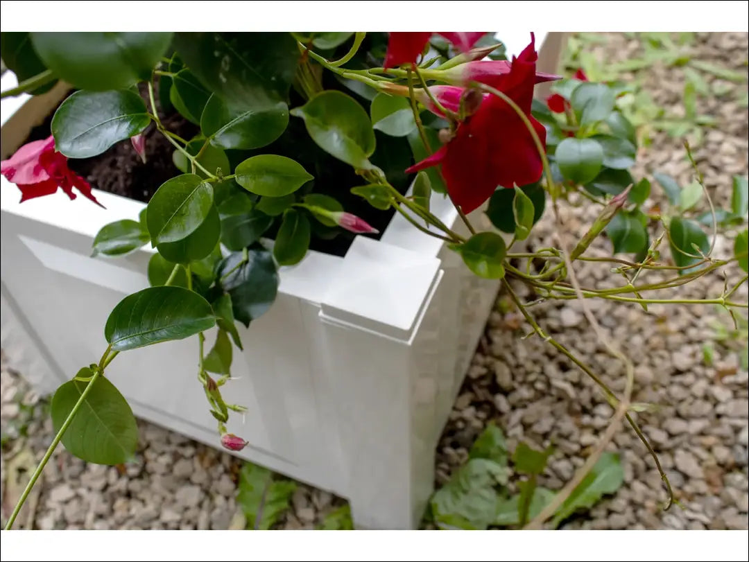 Kvadratinis baltas vazonas DA405 - €25 Save 50% 25-50, __label:Pristatymas 1-2 d.d., lauko baldai, lauko-kita to €50