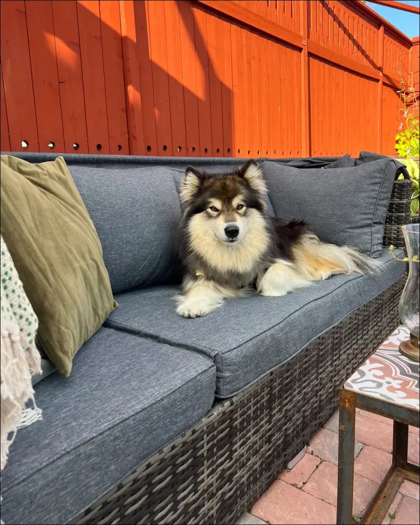 Lauko baldų komplektas LI838 - €1,225 Save 50% __label:Pristatymas 1-2 d.d., color-pilka, color-ruda, lauko baldai,