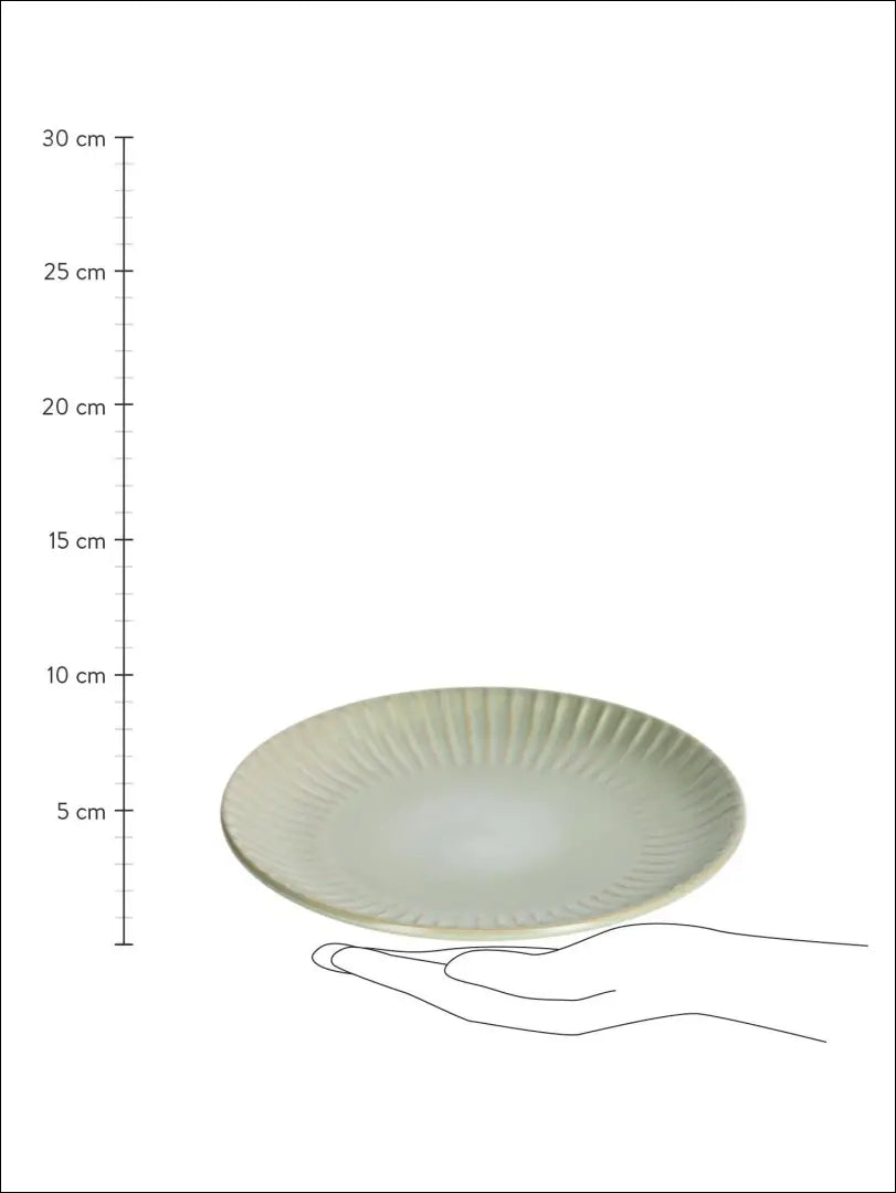 Lėkščių komplektas (2vnt) DI4579 - €7 Save 55% __label:Pristatymas 1-2 d.d., color-zalia, indai, interjeras, lekstes