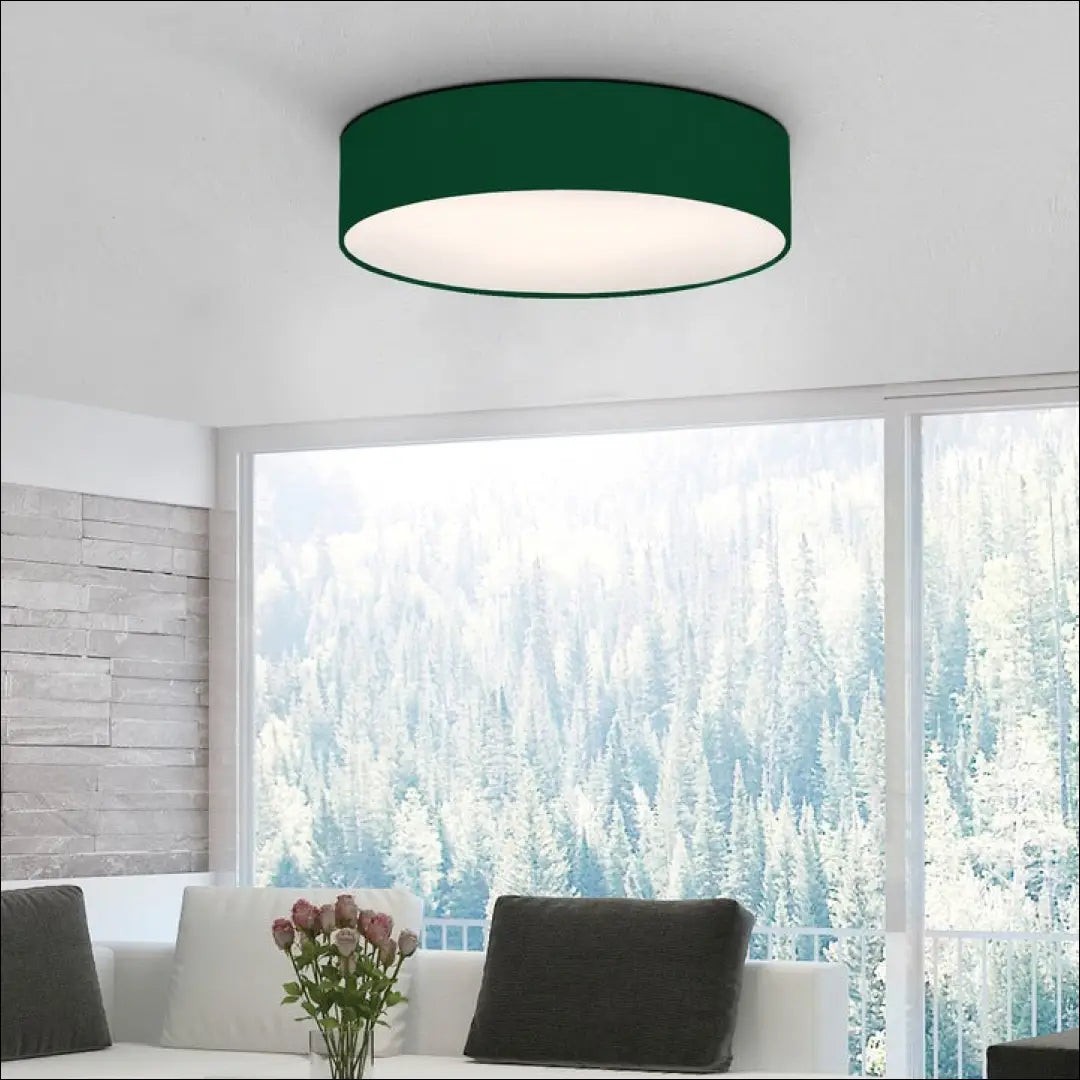 Lubinis šviestuvas DI10604 - €36 Save 50% 25-50, __label:Pristatymas 1-2 d.d., color-zalia, interjeras,