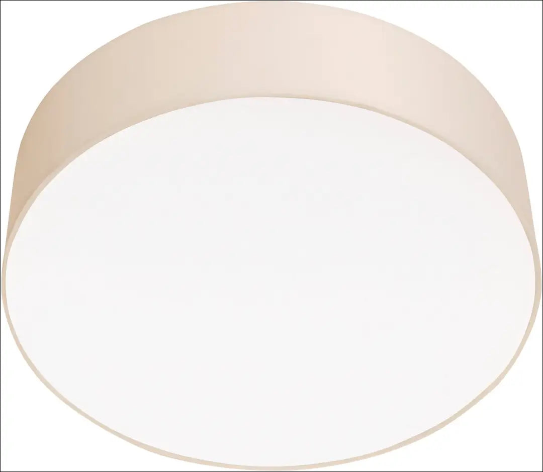 Lubinis šviestuvas DI12465 - €24 Save 50% __label:Pristatymas 1-2 d.d., color-smelio, interjeras, lubiniai-sviestuvai,
