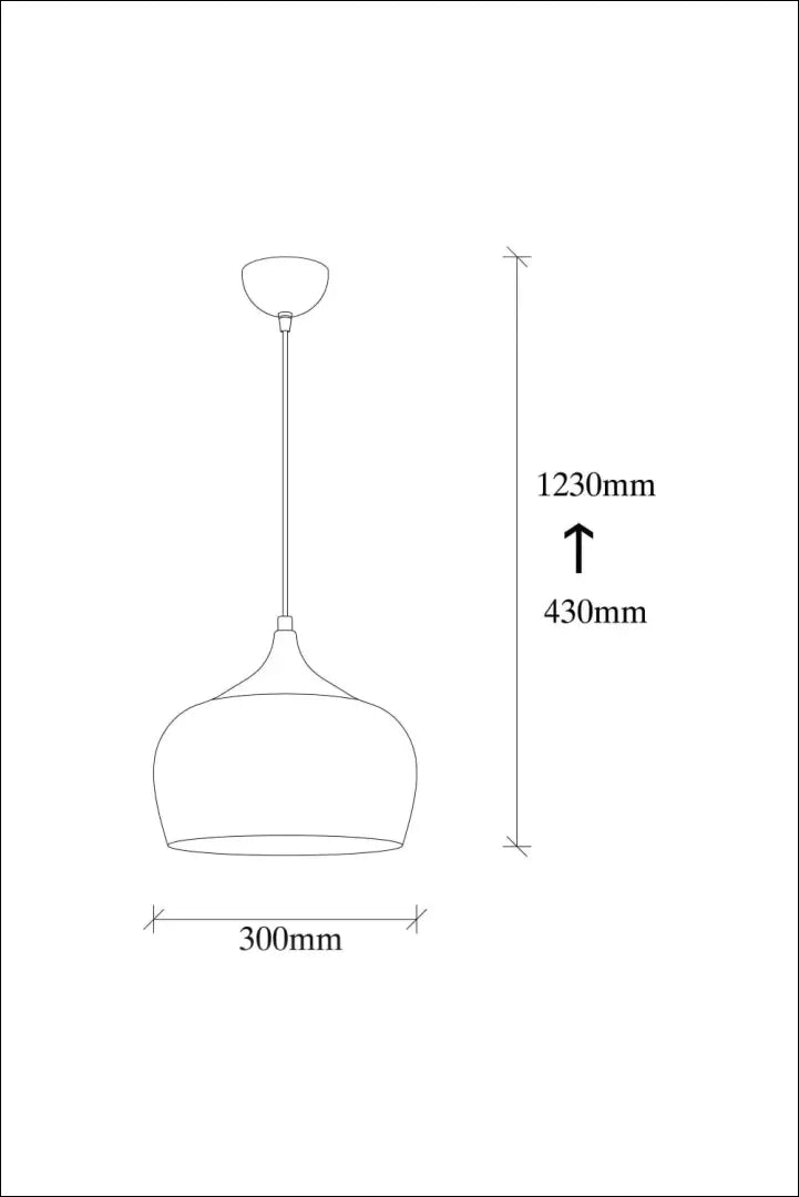 Pakabinamas šviestuvas DI10202 - €47 Save 50% 25-50, __label:Pristatymas 1-2 d.d., color-auksine, color-juoda,