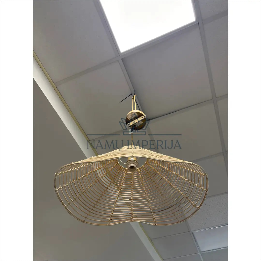 Pakabinamas šviestuvas DI9724 - €25 Save 50% 25-50, __label:Pristatymas 1-2 d.d., color-smelio, interjeras,