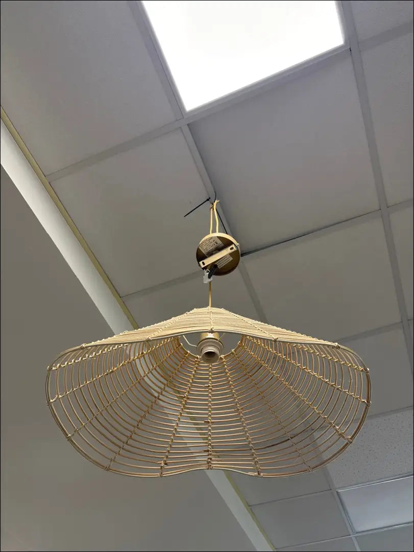 Pakabinamas šviestuvas DI9724 - €22 Save 55% __label:Pristatymas 1-2 d.d., color-smelio, interjeras,