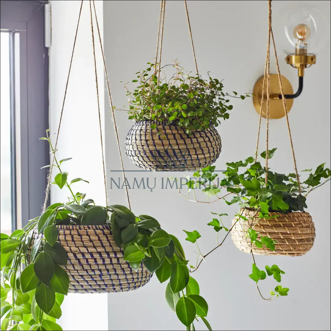 Pakabinamų vazonų komplektas (2vnt) DI8970 - €18 Save 50% __label:Pristatymas 1-2 d.d., color-melyna, color-smelio,