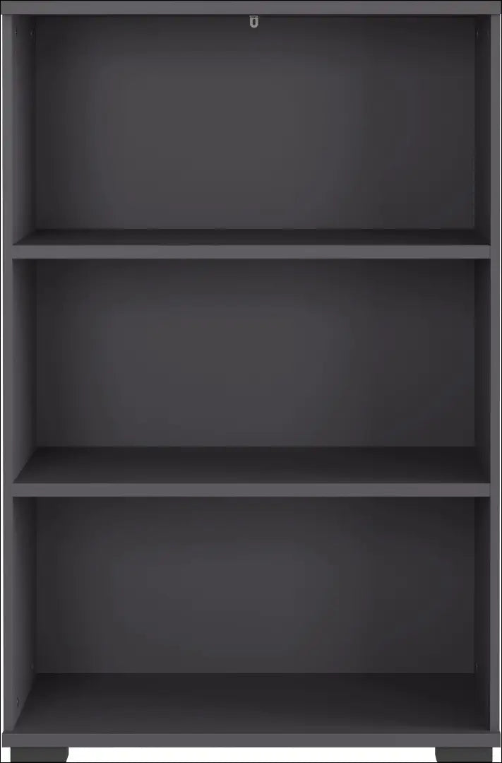 Pastatoma lentyna SI2316 - €60 Save 70% 50-100, __label:Pristatymas 1-2 d.d., color-pilka, material-mediena, pazeistas