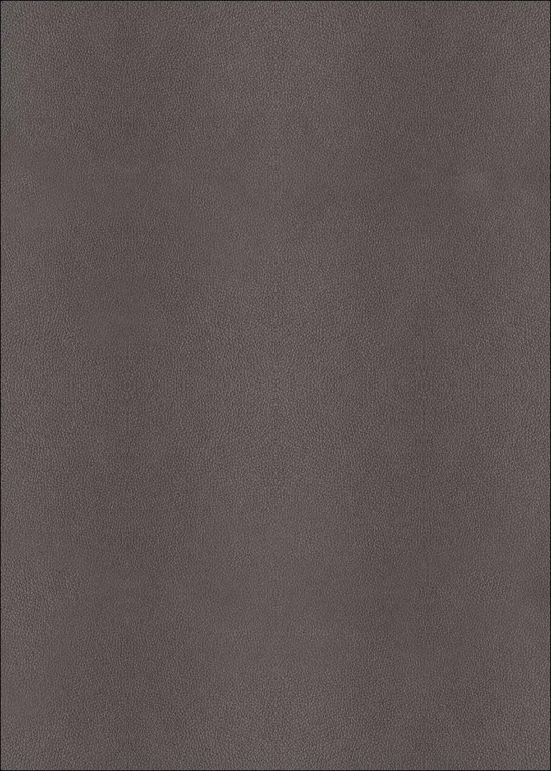 Pasukama kėdė VI1625 - €105 Save 50% 100-200, __label:Pristatymas 1-2 d.d., color-pilka, kedes-valgomojo,