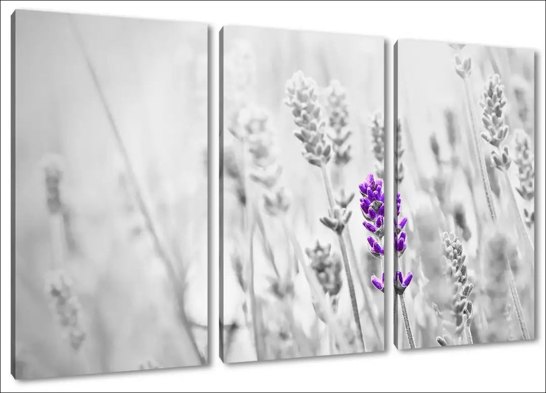 Paveikslas (3 dalys) DI10653 - €49 Save 50% 25-50, __label:Pristatymas 1-2 d.d., color-pilka, color-violetine,