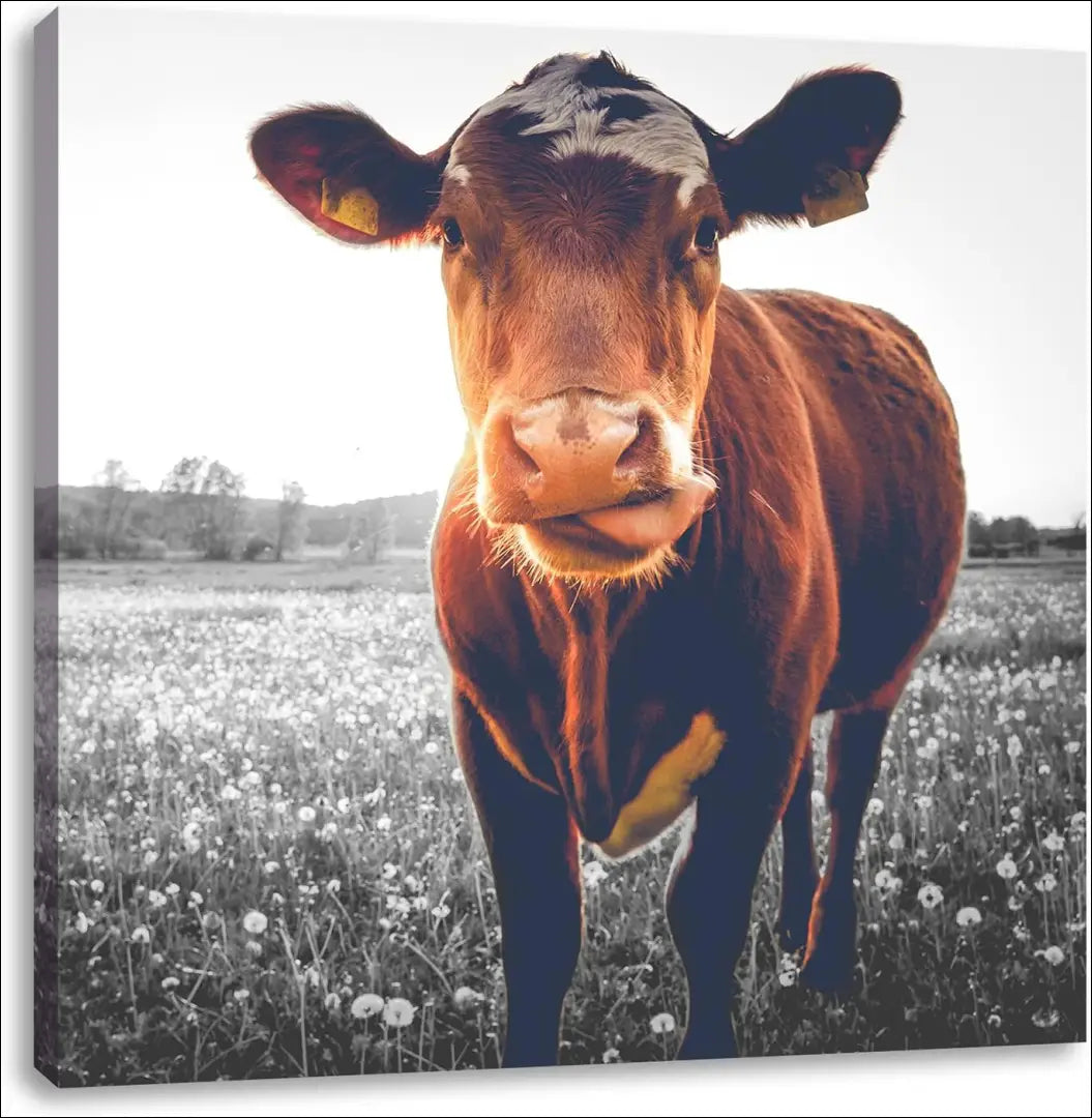 Paveikslas DI10462 - €28 Save 50% 25-50, __label:Pristatymas 1-2 d.d., color-pilka, color-ruda, interjeras €25 to €50