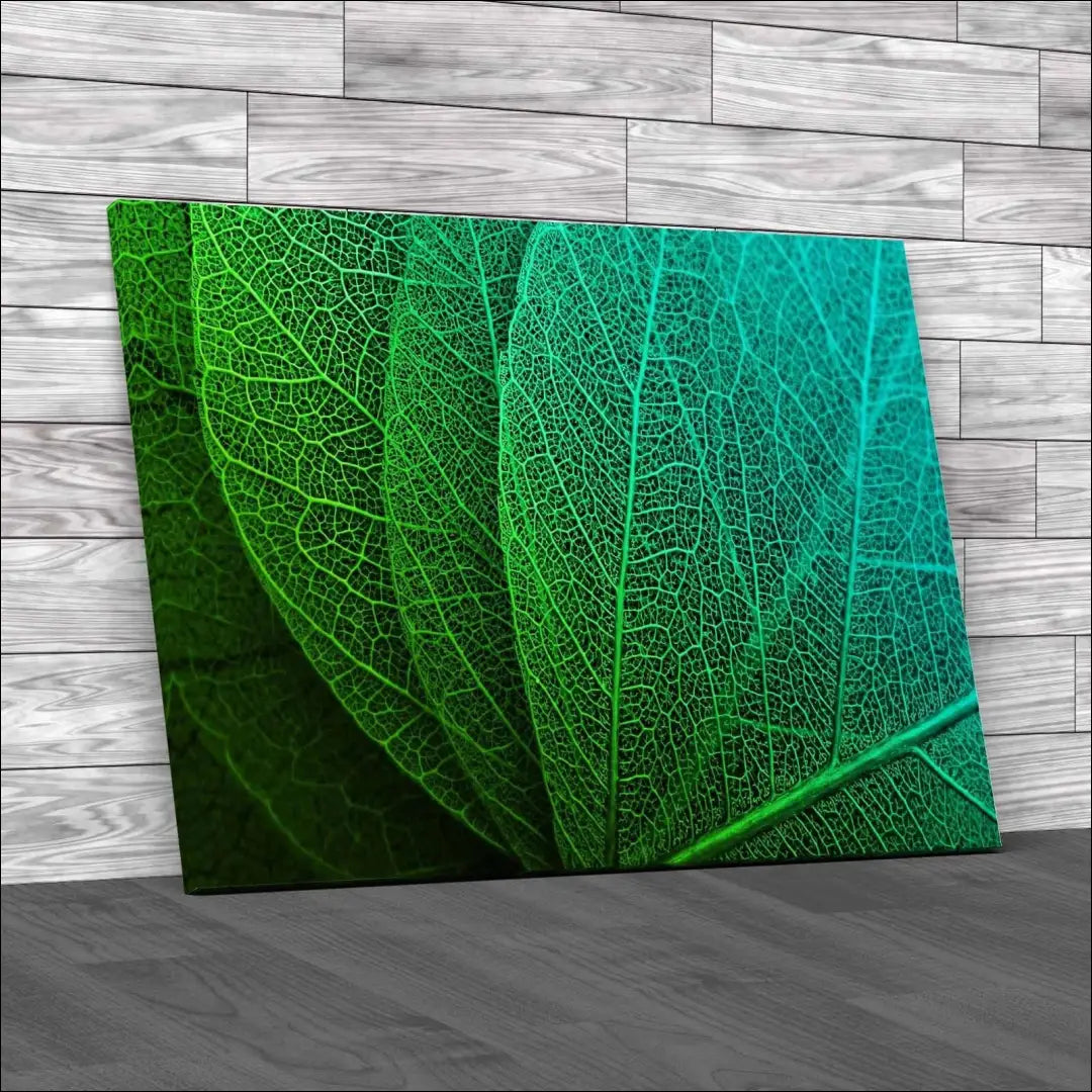 Paveikslas DI10977 - €37 Save 50% 25-50, __label:Pristatymas 1-2 d.d., color-zalia, interjeras, material-drobe €25