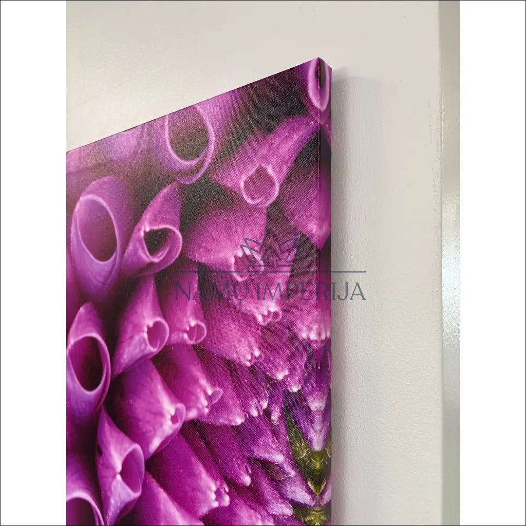 Paveikslas DI9683 - €24 Save 50% __label:Pristatymas 1-2 d.d., color-rozine, color-violetine, interjeras,