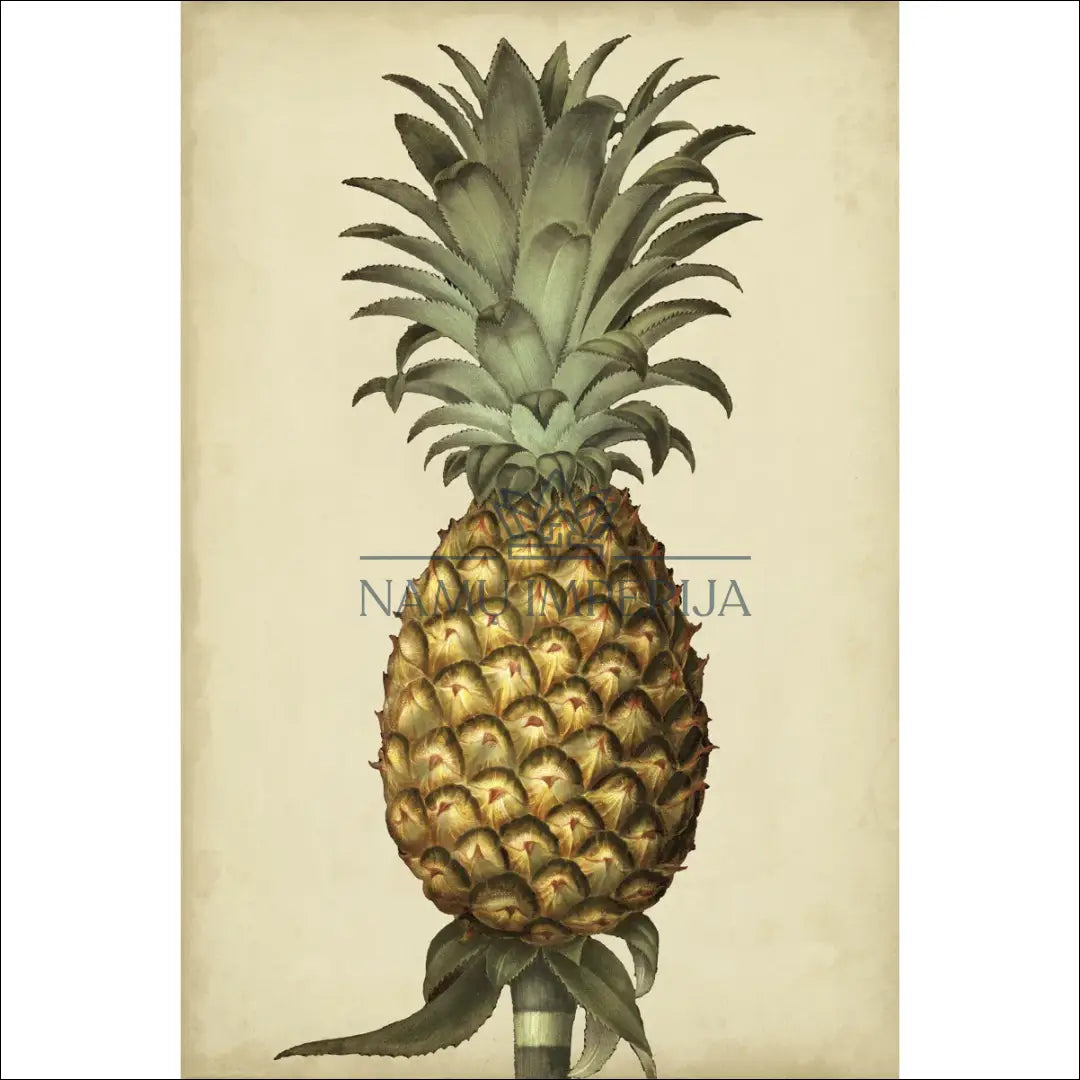 Paveikslas DI9948 €34 Save 50% 25 50, __label:Pristatymas 1 2 d.d., color ruda, smelio, zalia €25 to €50 Prints | Namų