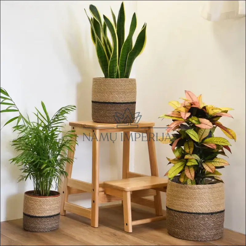 Pintų vazonų komplektas (3vnt) DI9095 - €12 Save 50% __label:Pristatymas 1-2 d.d., color-ruda, color-smelio,
