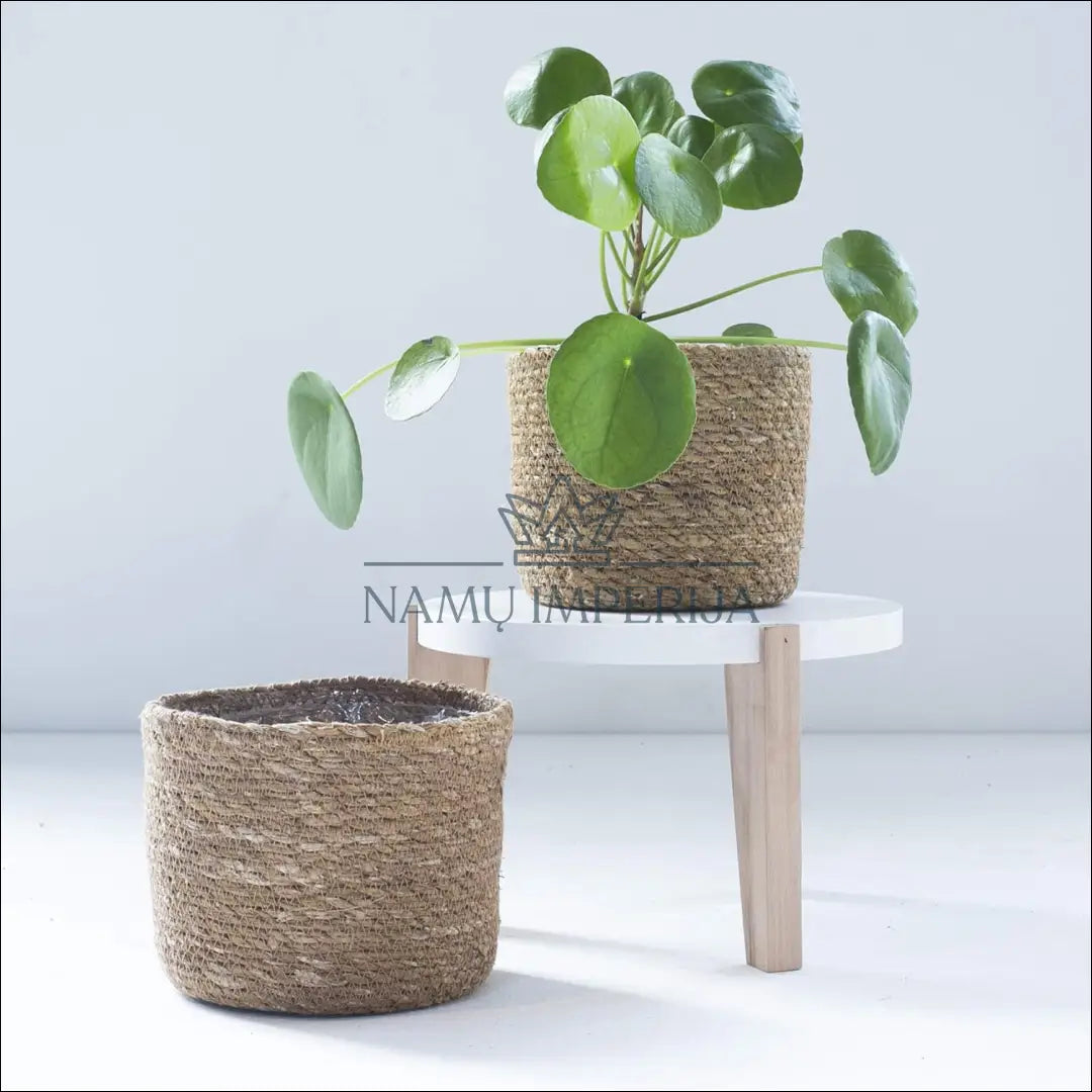 Pintų vazonų komplektas (3vnt) DI9101 - €12 Save 50% __label:Pristatymas 1-2 d.d., color-smelio, interjeras, under-25,