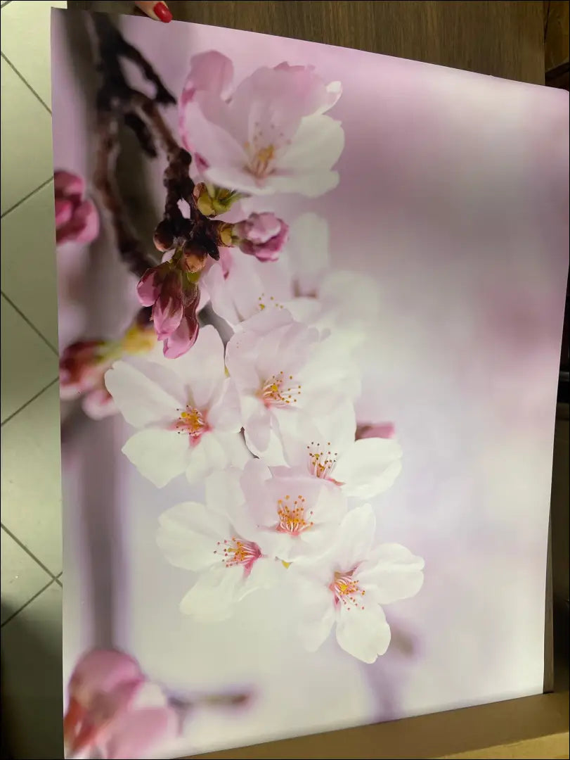 Plakatas DI11994 - €39 Save 50% 25-50, __label:Pristatymas 1-2 d.d., color-marga, color-margas, color-rozine €25 to €50