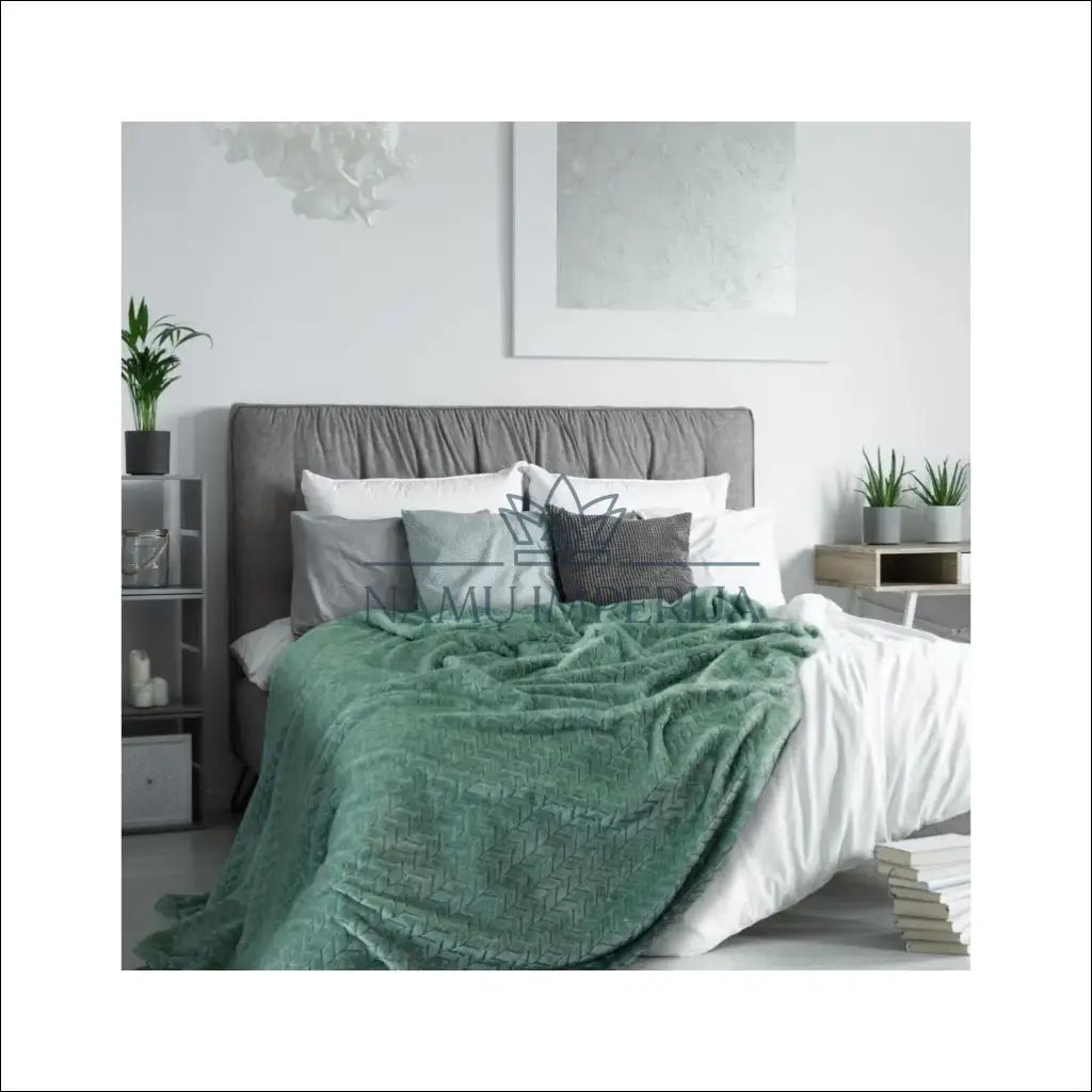 Pledas (150x200cm) DI10261 - €18 Save 70% __label:Pristatymas 1-2 d.d., color-zalia, material-poliesteris, pledai,