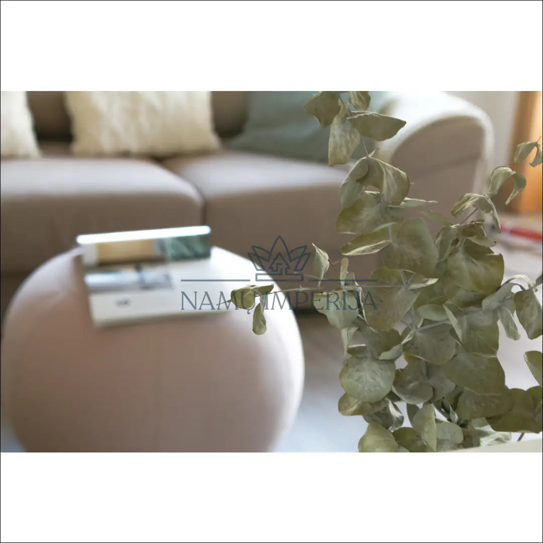 Pufas MI523 - €72 Save 55% 50-100, __label:Pristatymas 1-2 d.d., color-smelio, minksti, pufai €50 to €100 | Namų