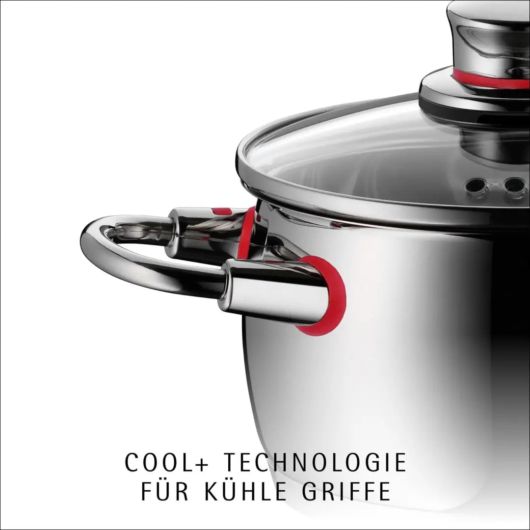 Puodų komplektas “WMF” (5vnt) DI12424 - €160 Save 50% 100-200, __label:Pristatymas 1-2 d.d., color-sidabrine, indai,