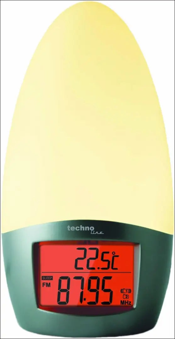 Radijo žadintuvas DI9353 - €23 Save 55% __label:Pristatymas 1-2 d.d., color-balta, color-pilka, dekoracijos, interjeras