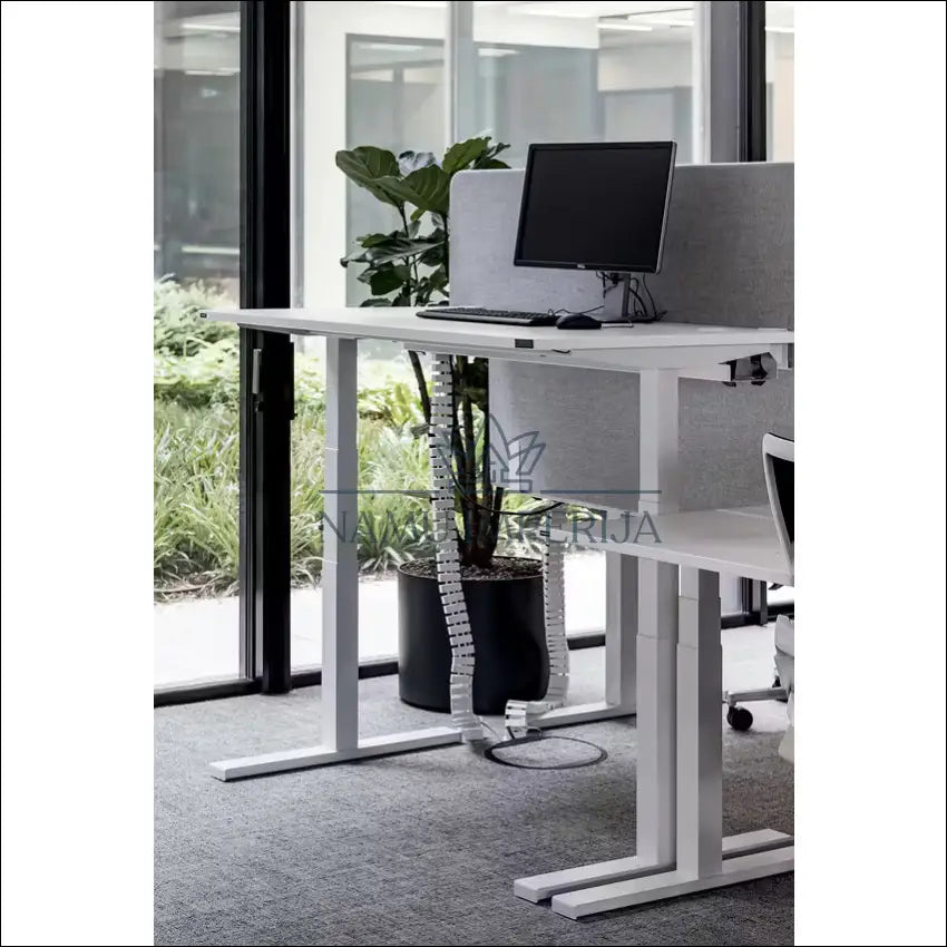 Reguliuojamo aukščio darbo stalas BI247 - €875 Save 50% __label:Pristatymas 1-2 d.d., biuro-baldai, biuro-stalai,