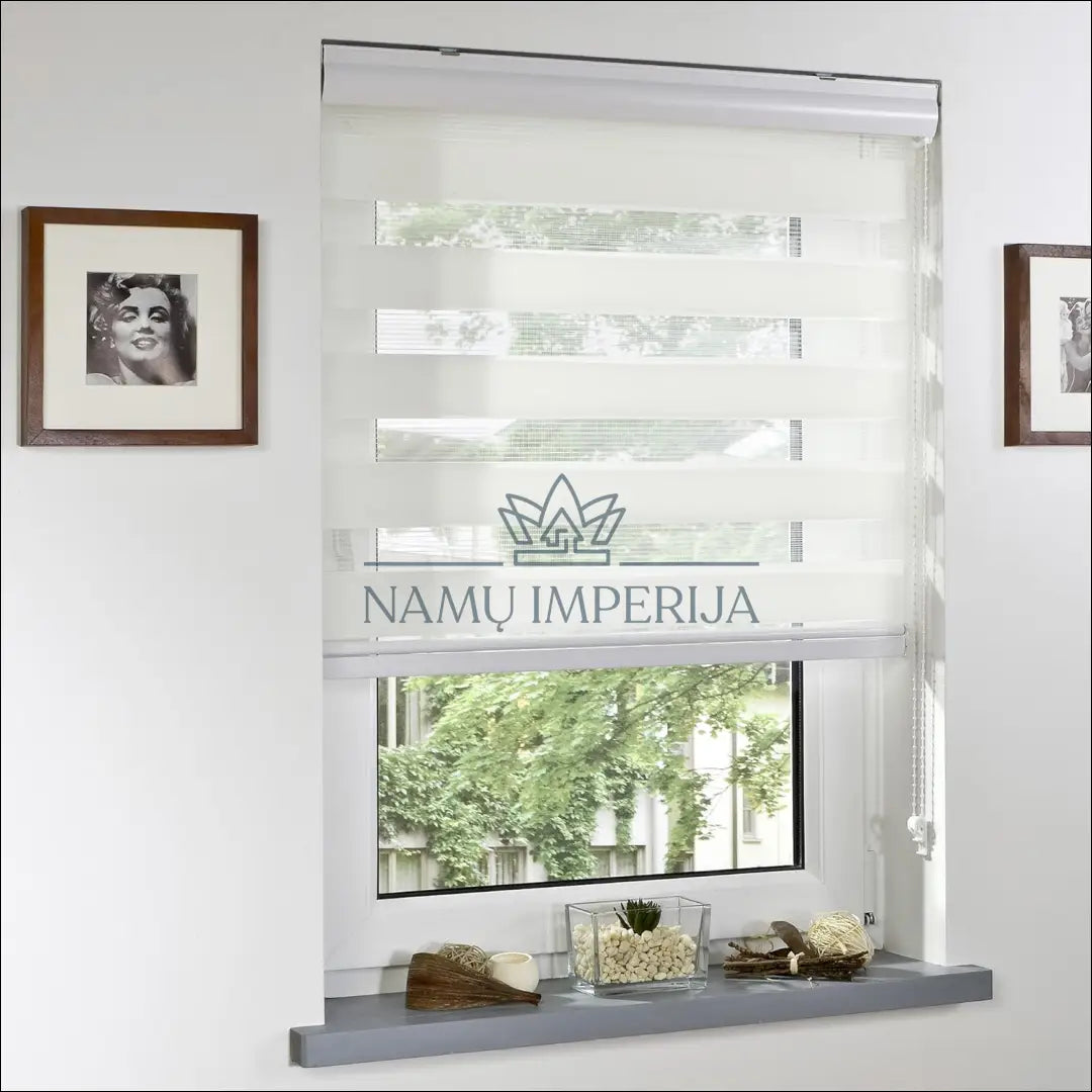 Roletas (60x160cm) DI9346 - €20 Save 50% __label:Pristatymas 1-2 d.d., color-kremas, material-poliesteris, tekstile,