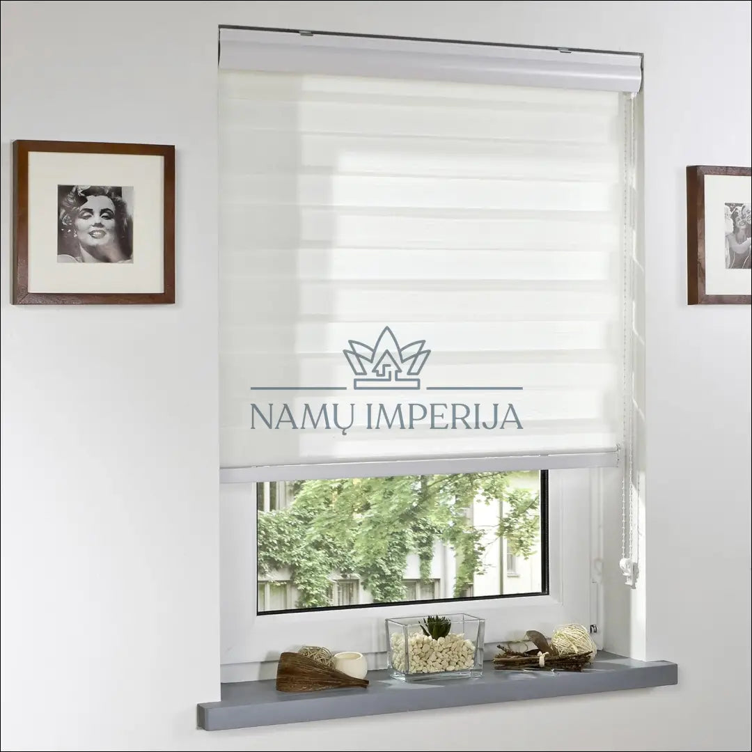 Roletas (60x160cm) DI9346 - €20 Save 50% __label:Pristatymas 1-2 d.d., color-kremas, material-poliesteris, tekstile,