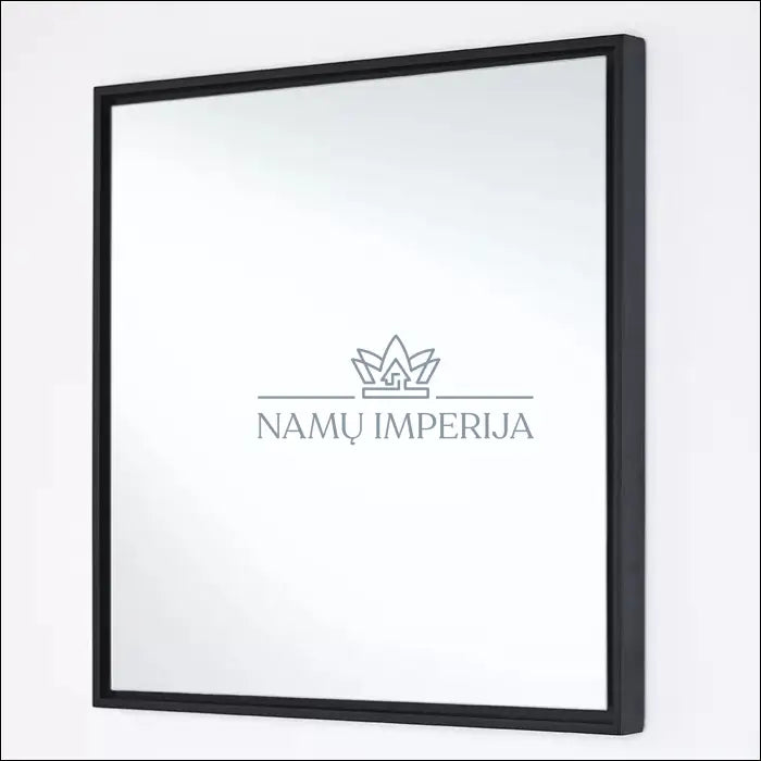 Sieninis veidrodis DI2189 - €40 Save 65% 25-50, color-juoda, interjeras, material-mdf, spec Interjeras | Namų