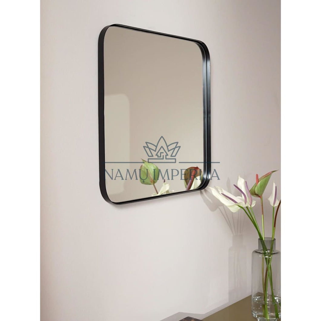 Sieninis veidrodis DI3369 - 25-50, color-juoda, interjeras,