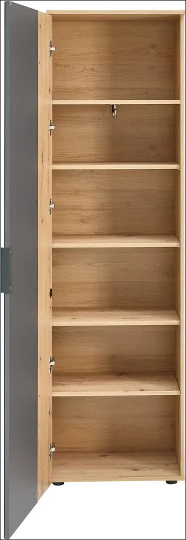 Spinta GI841 - €155 Save 50% 100-200, __label:Pristatymas 1-2 d.d., biuro-baldai, color-pilka, color-ruda €100 to €200