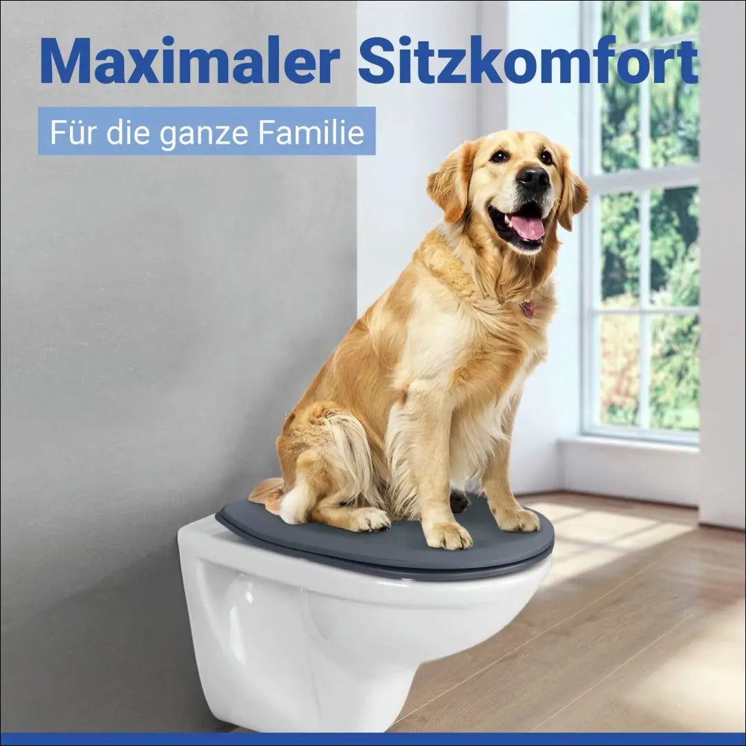 Tualeto dangtis DI12520 - €37 Save 50% 25-50, __label:Pristatymas 1-2 d.d., color-pilka, kita, vonios-aksesuarai Toilet
