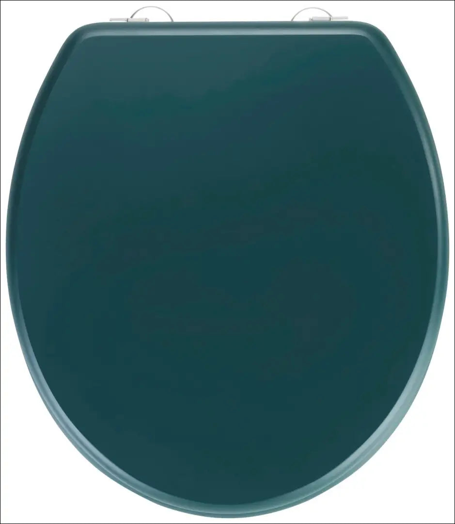 Tualeto dangtis DI12537 - €18 Save 50% __label:Pristatymas 1-2 d.d., color-zalia, kita, under-25, vonios-aksesuarai Iki
