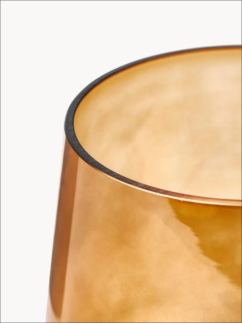 Vaza DI4173 - €8 Save 70% __label:Pristatymas 1-2 d.d., color-ruda, interjeras, material-stiklas, notouch70 Ruda