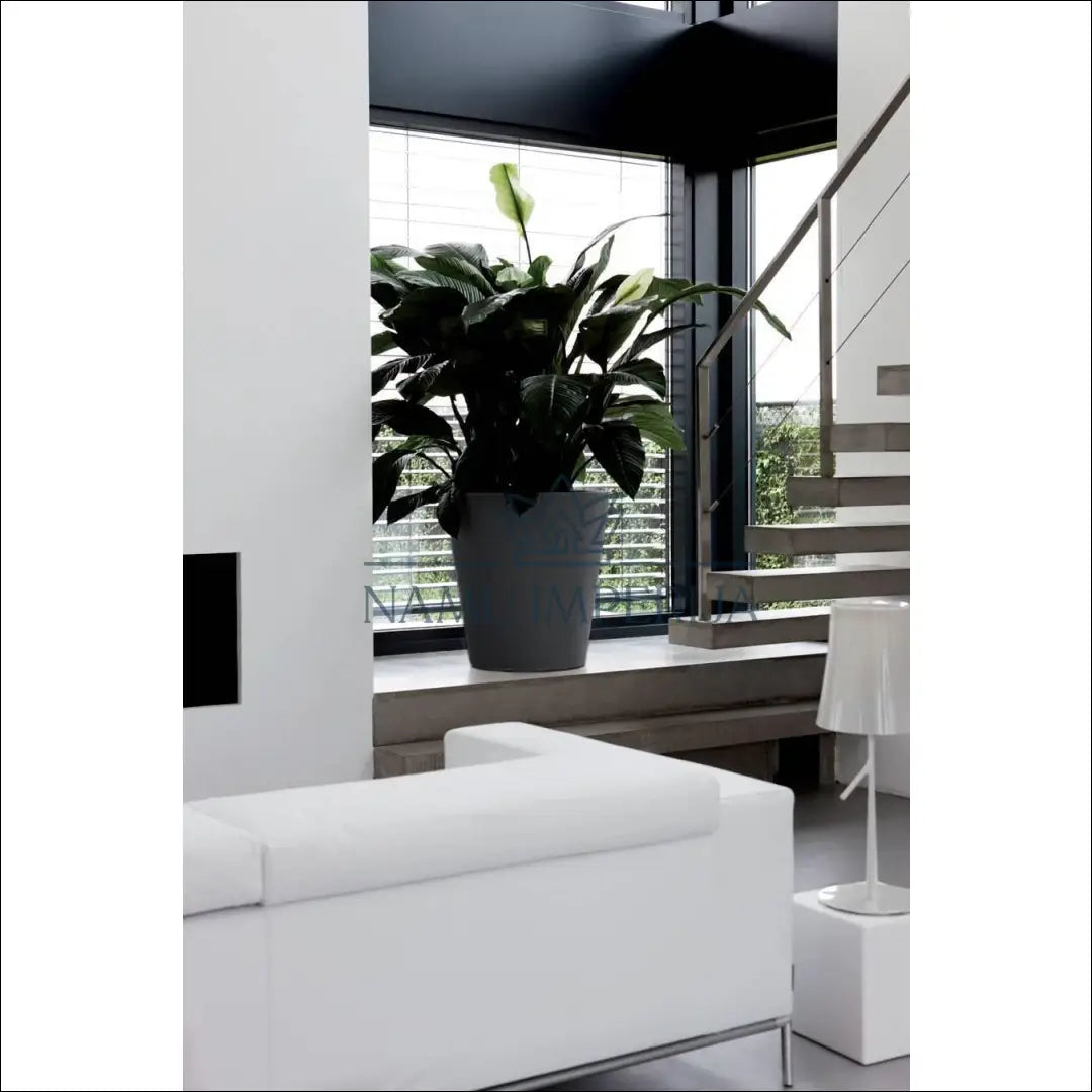 Vazonas DI10214 - €25 Save 50% 25-50, __label:Pristatymas 1-2 d.d., color-pilka, interjeras, material-plastikas to €50