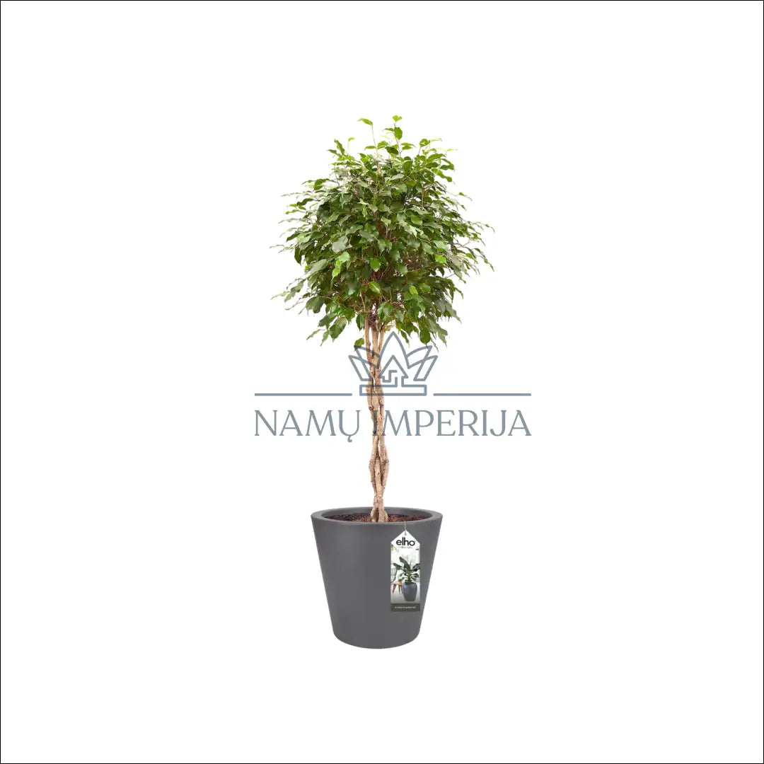 Vazonas DI10214 - €25 Save 50% 25-50, __label:Pristatymas 1-2 d.d., color-pilka, interjeras, material-plastikas to €50