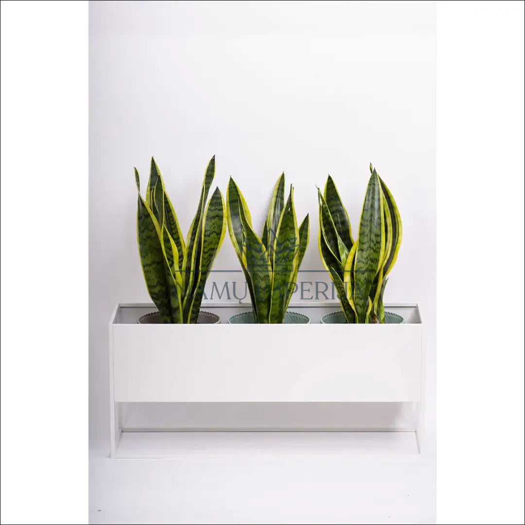Vazonas DI10274 - €74 Save 50% 50-100, __label:Pristatymas 1-2 d.d., color-balta, interjeras, material-metalas €50