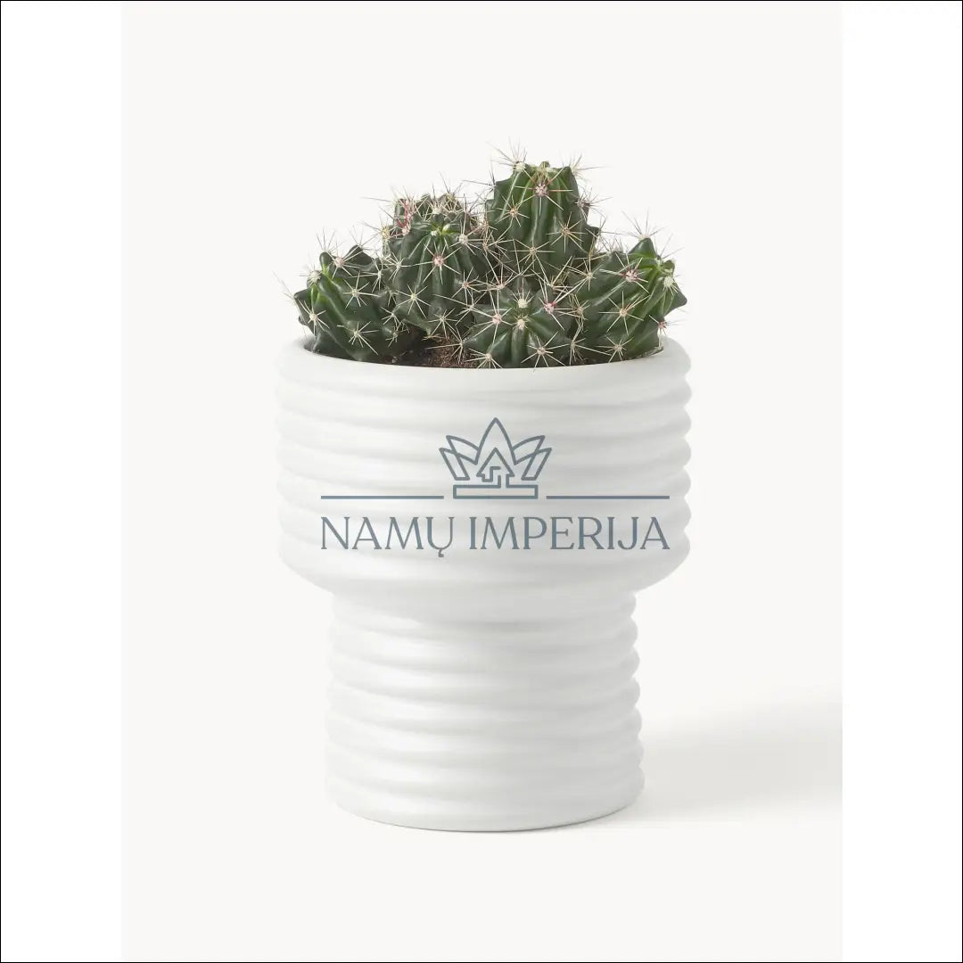 Vazonas DI6957 - €12 Save 55% __label:Pristatymas 1-2 d.d., color-balta, interjeras, material-fajansas, pushas Balta