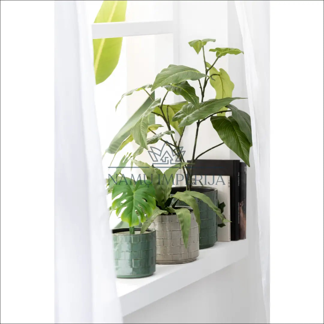Vazonas DI7019 - €8 Save 55% __label:Pristatymas 1-2 d.d., color-zalia, interjeras, material-keramika, spalva-zalia