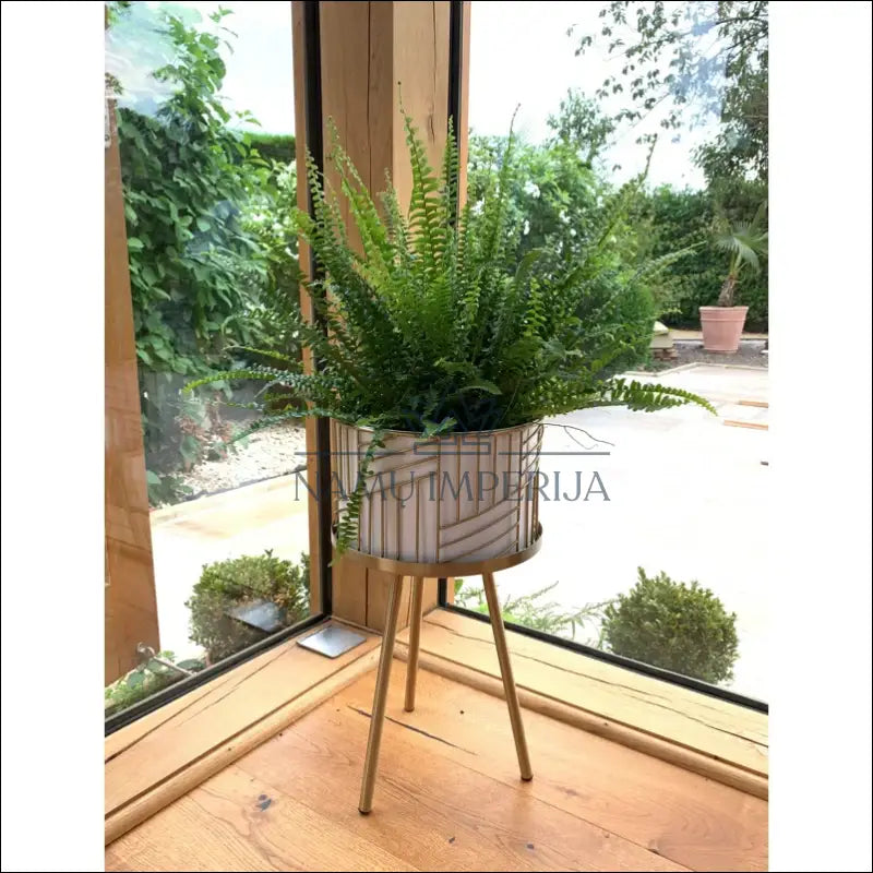 Vazonas DI8560 - €45 Save 50% 25-50, __label:Pristatymas 1-2 d.d., color-auksine, color-balta, interjeras €25 to €50