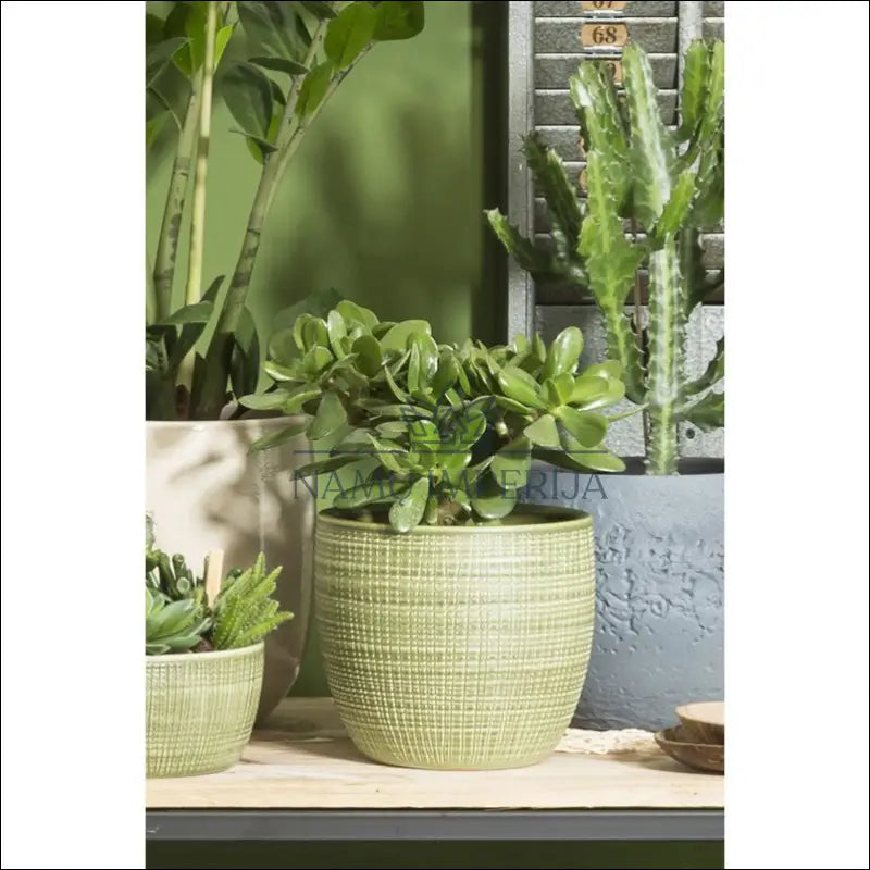 Vazonas DI8730 - €6 Save 50% __label:Pristatymas 1-2 d.d., color-zalia, interjeras, material-keramika, under-25 Iki €25
