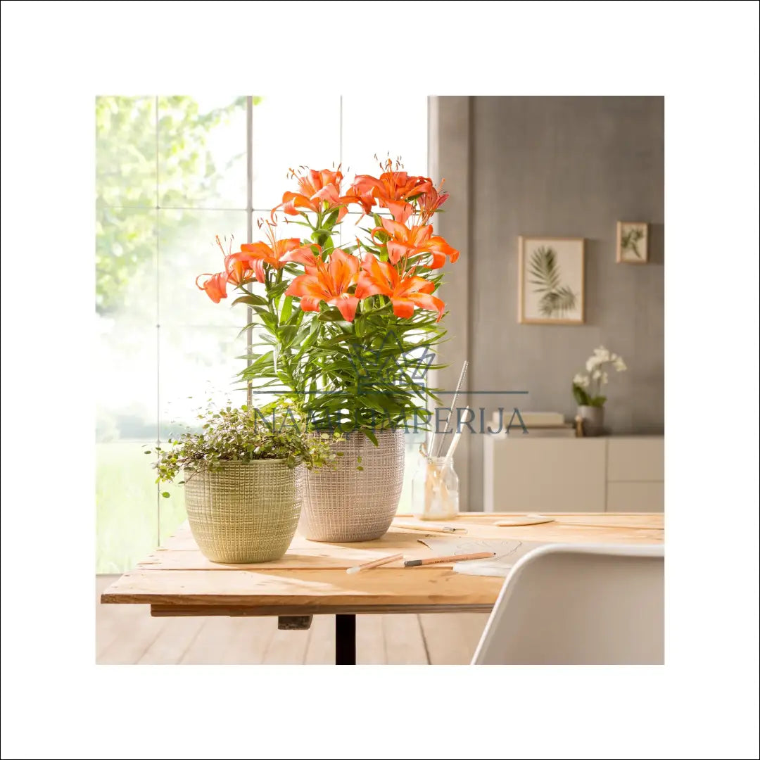 Vazonas DI8732 - €12 Save 50% __label:Pristatymas 1-2 d.d., color-zalia, interjeras, material-keramika, under-25 Iki