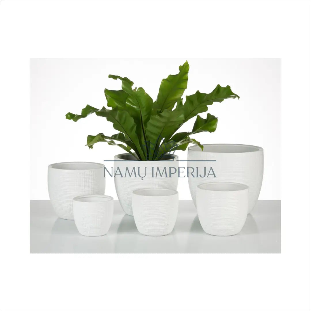 Vazonas DI8733 - €7 Save 50% __label:Pristatymas 1-2 d.d., color-balta, interjeras, material-keramika, under-25 Iki €25