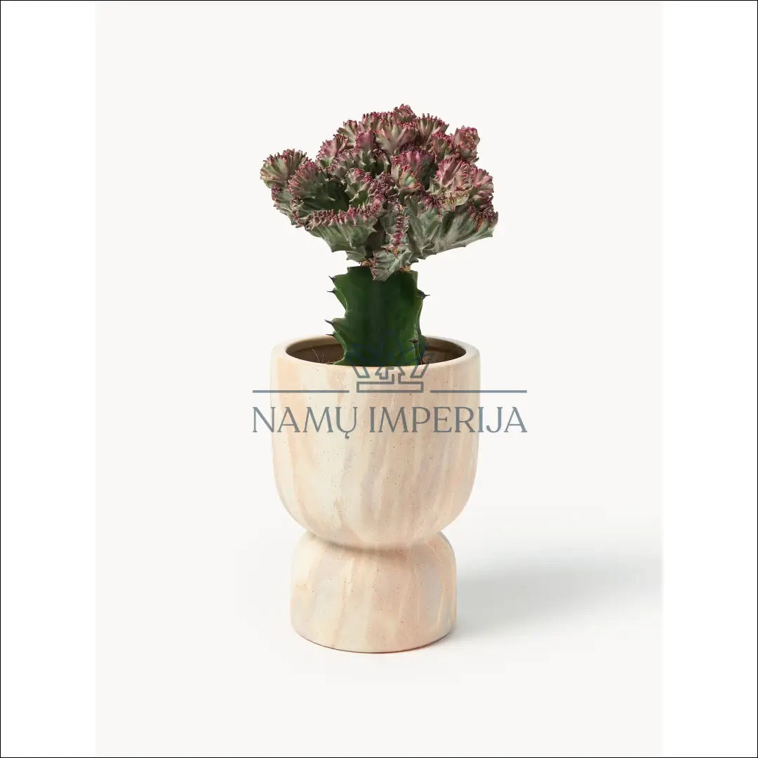 Vazonas DI9865 €15 Save 50% __label:Pristatymas 1 2 d.d., color marga, margas, smelio, interjeras Iki €25 Pots | Namų