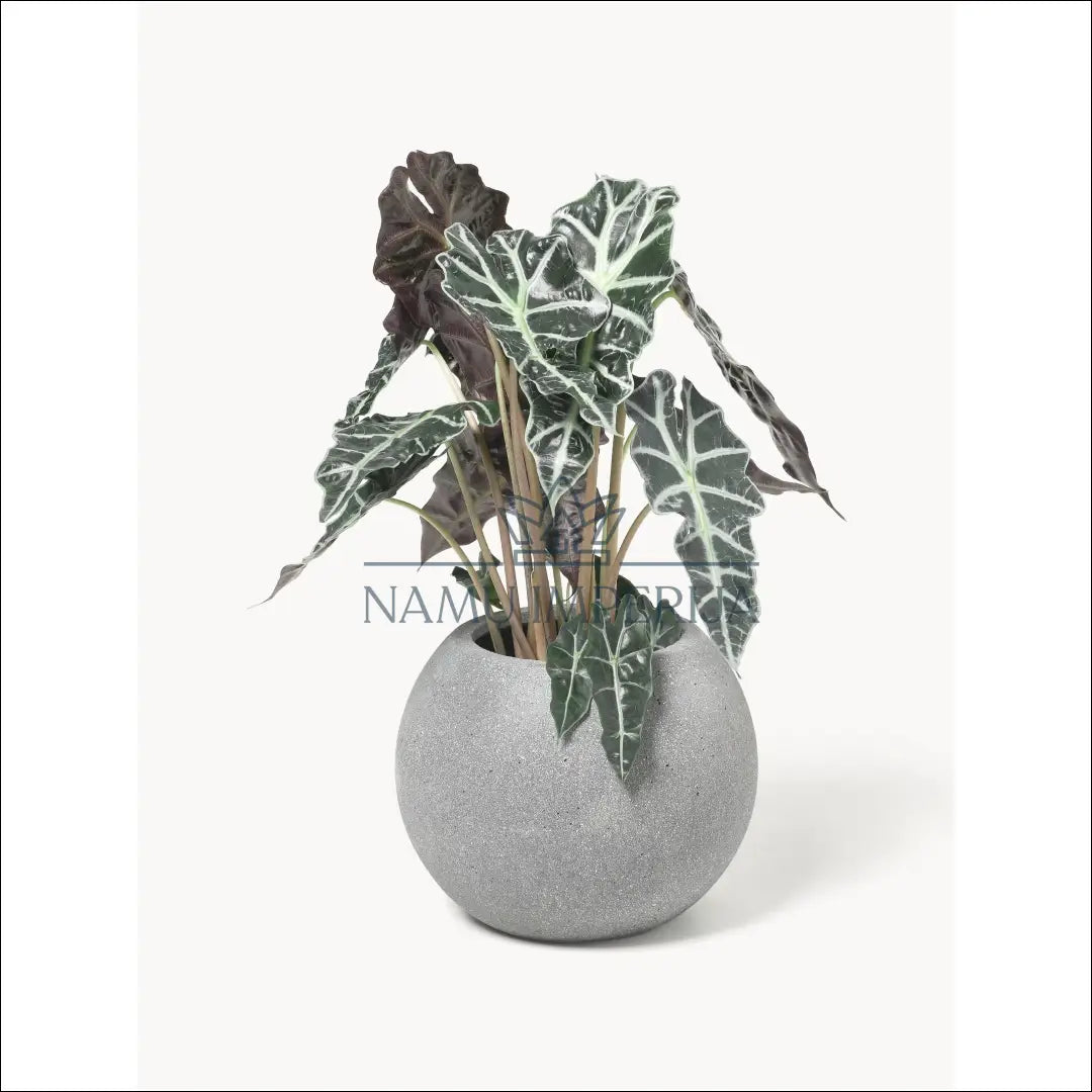 Vazonas DI9890 - €32 Save 50% 25-50, __label:Pristatymas 1-2 d.d., color-pilka, interjeras, material-betonas €25 to €50