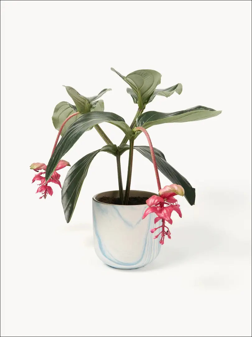 Vazonas DI9907 - €13 Save 55% __label:Pristatymas 1-2 d.d., color-balta, color-melyna, color-smelio, interjeras Iki €25